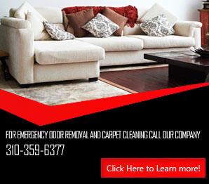 Professional Stain Removal | Carpet Cleaning Santa Monica, CA