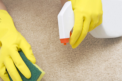 How Important Is Selection Of Cleaning Products In Carpet Cleaning Procedures
